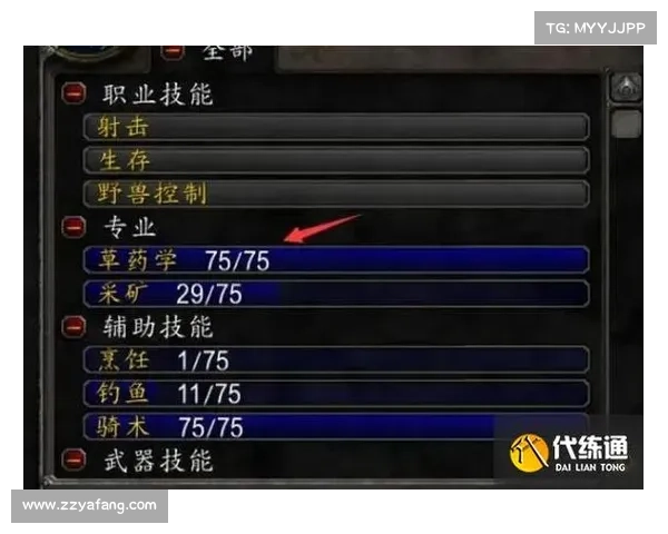 魔兽世界怀旧服：探索侏儒法师的练级之道